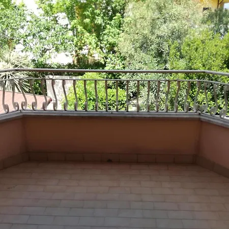 Mediterranea *